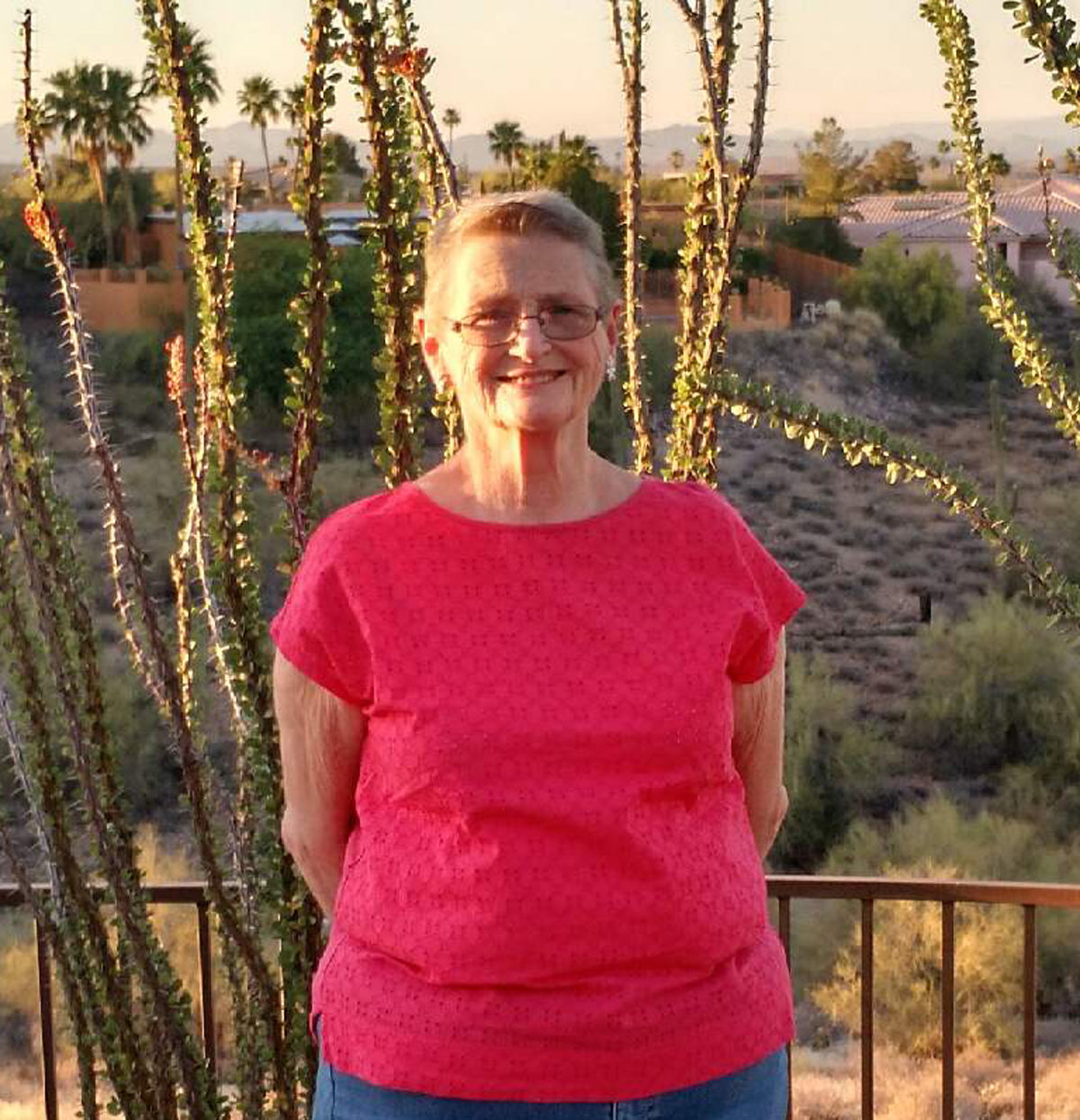 Sue Schaefer